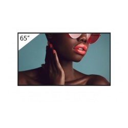 Monitor signage SONY FW-65BZ40L