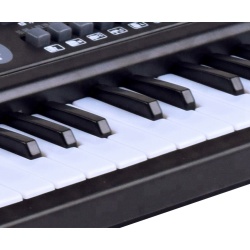Orga electronica cu 61 de clape si microfon pentru copii (Keyboard, Pian electronic) - Img 6