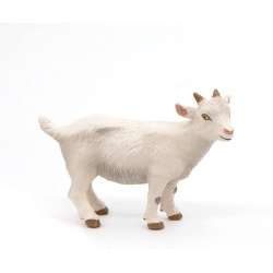 PAPO FIGURINA IED ALB - Img 2