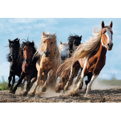 Puzzle trefl 1000 cai la galop - Img 2