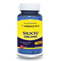 SILICIU ORGANIC 60cps HERBAGETICA