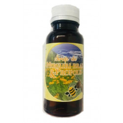 SIROP MG BRAD&PROP 100ML