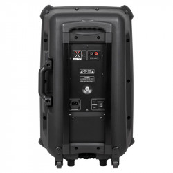 Sistem portabil sd bluetooth usb 15 inch 60w - Img 2