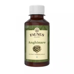 TINCTURA ANGHINARE 200ML