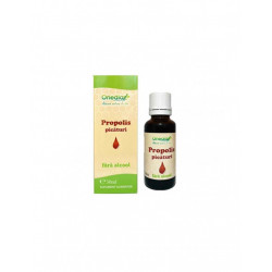 TINCTURA PROPOLIS FARA ALCOOL PICATURI 30ML