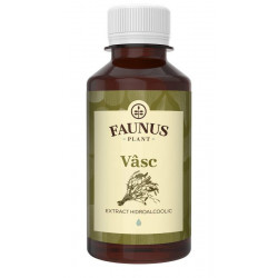 TINCTURA VASC 200ML