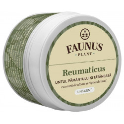 UNGUENT REUMATICUS 50ML (UNT.PAM.&TAT.)