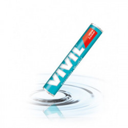 VIVIL SPEARMINT&MENTOL 25GR - FRIENDSHIP