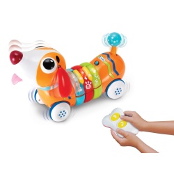 WINFUN CATELUS CU TELECOMANDA - Img 9