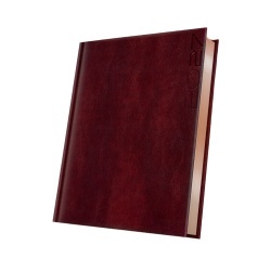 AGENDA DATATA A5 352PAG PREMIUM DELUXE NARNI COPERTA PIELE SINTETICA MARO FOLIO BRONZ 2027
