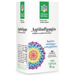 ANTIINFLAMIN 500mg 60cps SANTO RAPHAEL