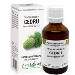 EXTRACT DIN MLADITE DE CEDRU 50ML