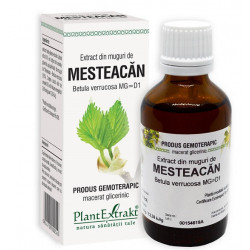 EXTRACT DIN MUGURI DE MESTEACAN 50ML