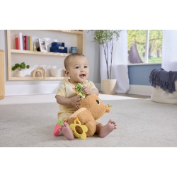 FISHER PRICE JUCARIE SENZORIALA CAPIBARA - Img 6