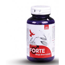 FORTE 120CPS