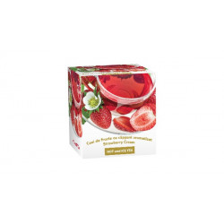 Fructe cu capsuni aromatizat hot&ice tea 2gr*20dz