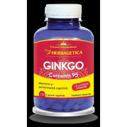 GINKGO CURCUMIN95 120CPS