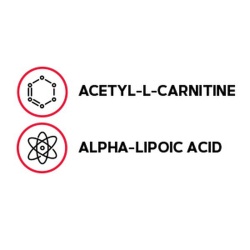 Gnc Acetyl-l-carnitine Alpha-lipoic Acid, Ala Acetil L-carnitina 500 Mg Si Acid Alfa Lipoic 200 Mg, 60 Tb - Img 2