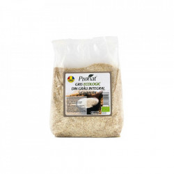 GRIS ECOLOGIC 600GR