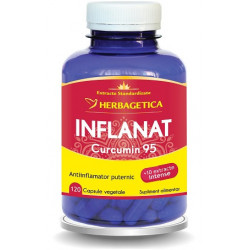 INFLANAT CURCUMIN 95 120CPS