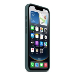 IPHONE 16E SI CASE LAKE GREEN-ZML - Img 4