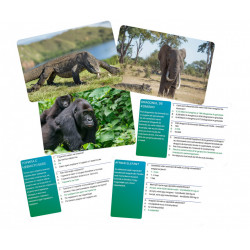 Joc Interactiv Lumea Animalelor In Limba Romana - Img 3