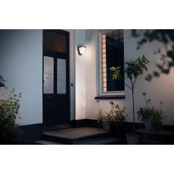 KISKADEE WALL LANTERN ANTHRACITE 1X42W - Img 2