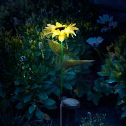 Lampă solară floarea soarelui- 75 cm - 8 LED alb cald - Img 1