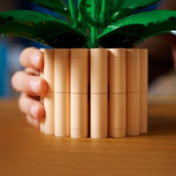 LEGO BOTANICALS CRINUL PACII 11504 - Img 4