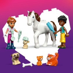 LEGO FRIENDS CLINICA VETERINARA 42696 - Img 5