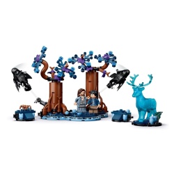 LEGO HARRY POTTER PADUREA INTERZISA EXPECTO PATRONUM 76475 - Img 8