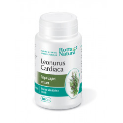 Leonurus cardiaca - talpa gastei extract 30cps rotta natura