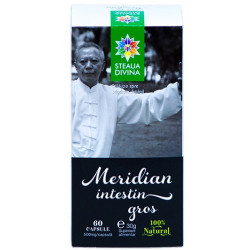 MERIDIAN INTESTIN GROS 60CPS