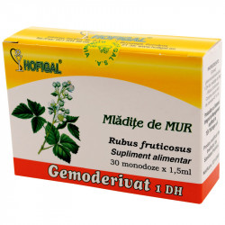 MLADITE MUR 30 monodz HOFIGAL