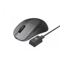 Mouse Genesis WS Zircon 606 8K 26000DPI - Img 2