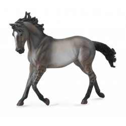 Mustang - Grulla