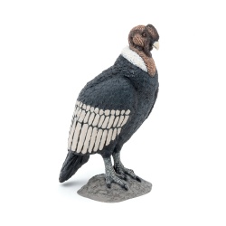 PAPO FIGURINA CONDOR - Img 7