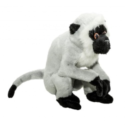 PLUS MAIMUTA VERVET, 16.5 CM