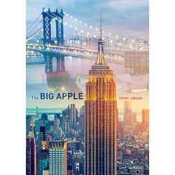 PUZZLE TREFL 1000 ZORI DE ZI LA NEW YORK - Img 2