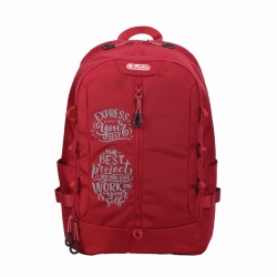 RUCSAC HERLITZ BOOST ANTIGRAVITY 46X32X17CM BORDO