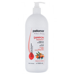 SAMPON REGENERANT EXTRACT CATINA 1000ML