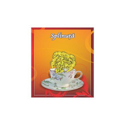 SPLINUTA 50GR