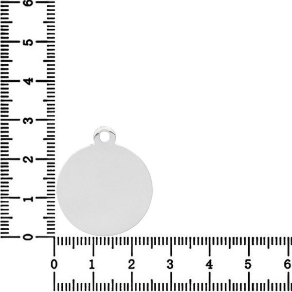 Link Argint - pentru colier - banut 2.5cm pentru gravat