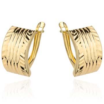 Cercei Aur 14k cu Model