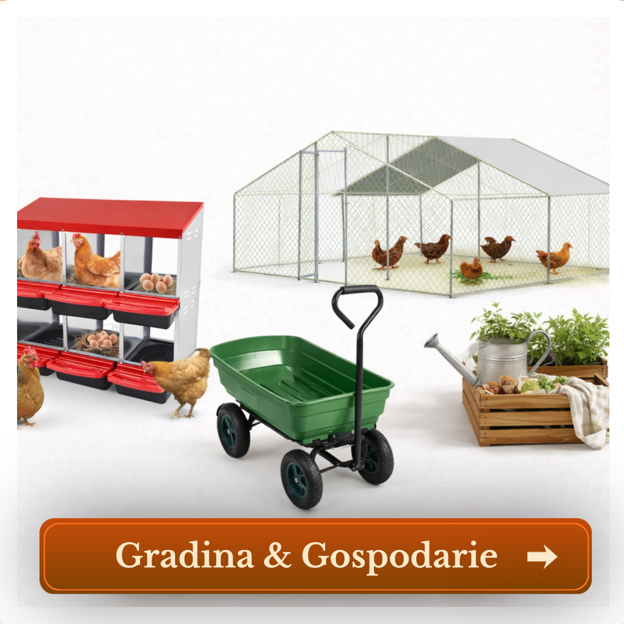 Tarcuri si cotete gaini, Roabe, Gradinarit