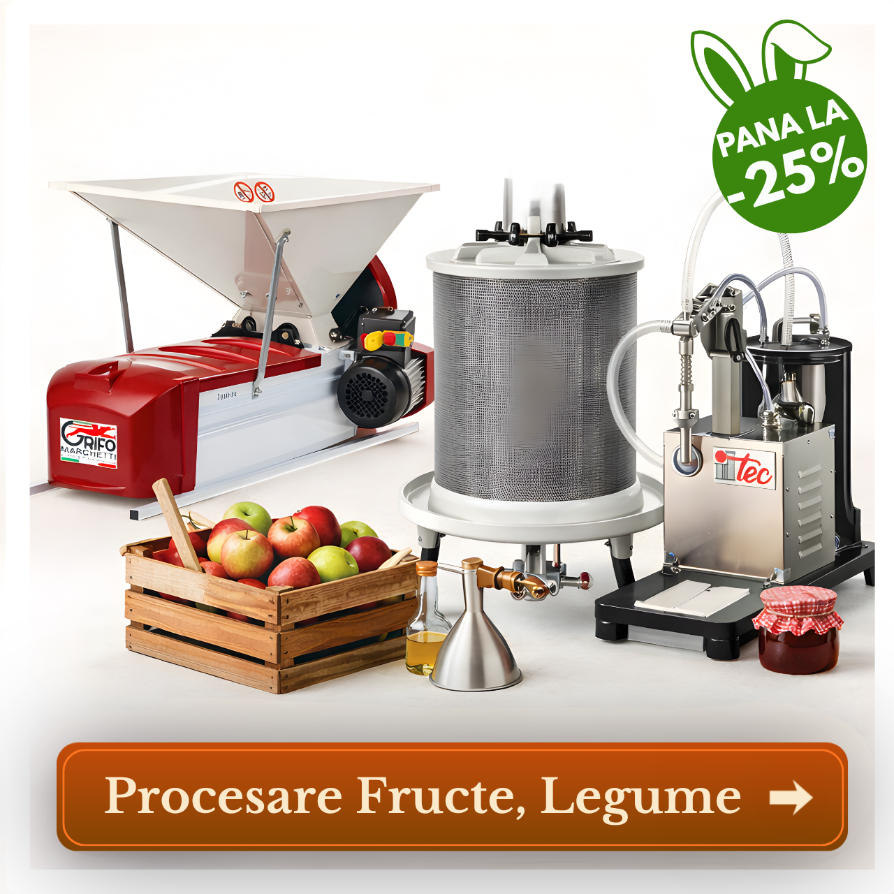 Procesare Fructe Legume Fabricadetuica