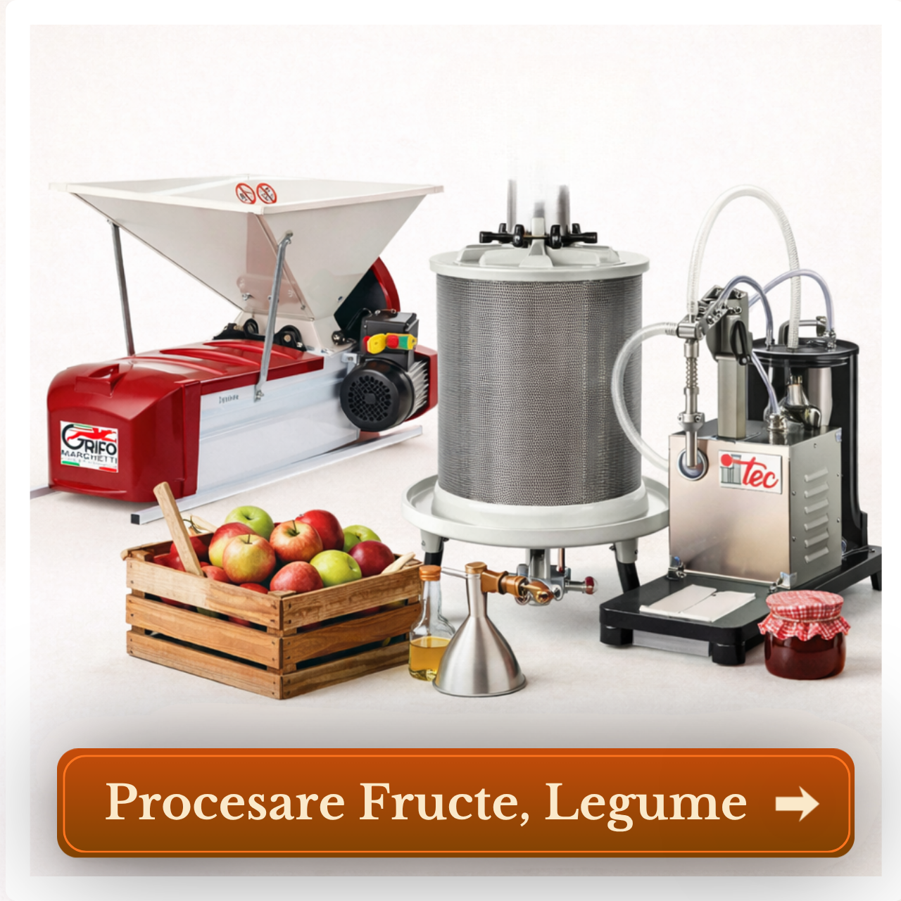 Procesare Fructe Legume Fabricadetuica