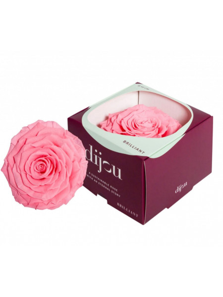 Trandafir ROZ DESCHIS Natural Criogenat Premium cu diametru 10cm + cutie cadou - Img 1