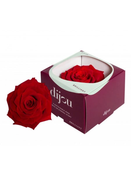 Trandafir ROSU Natural Criogenat Premium cu diametru 10cm + cutie cadou