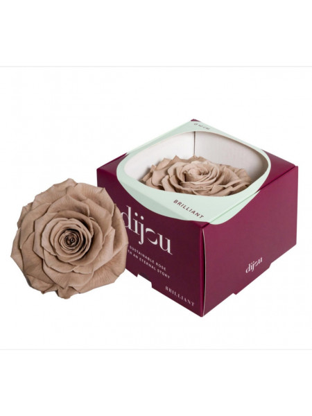 Trandafir Natural Criogenat Premium cu diametru 10cm + cutie cadou